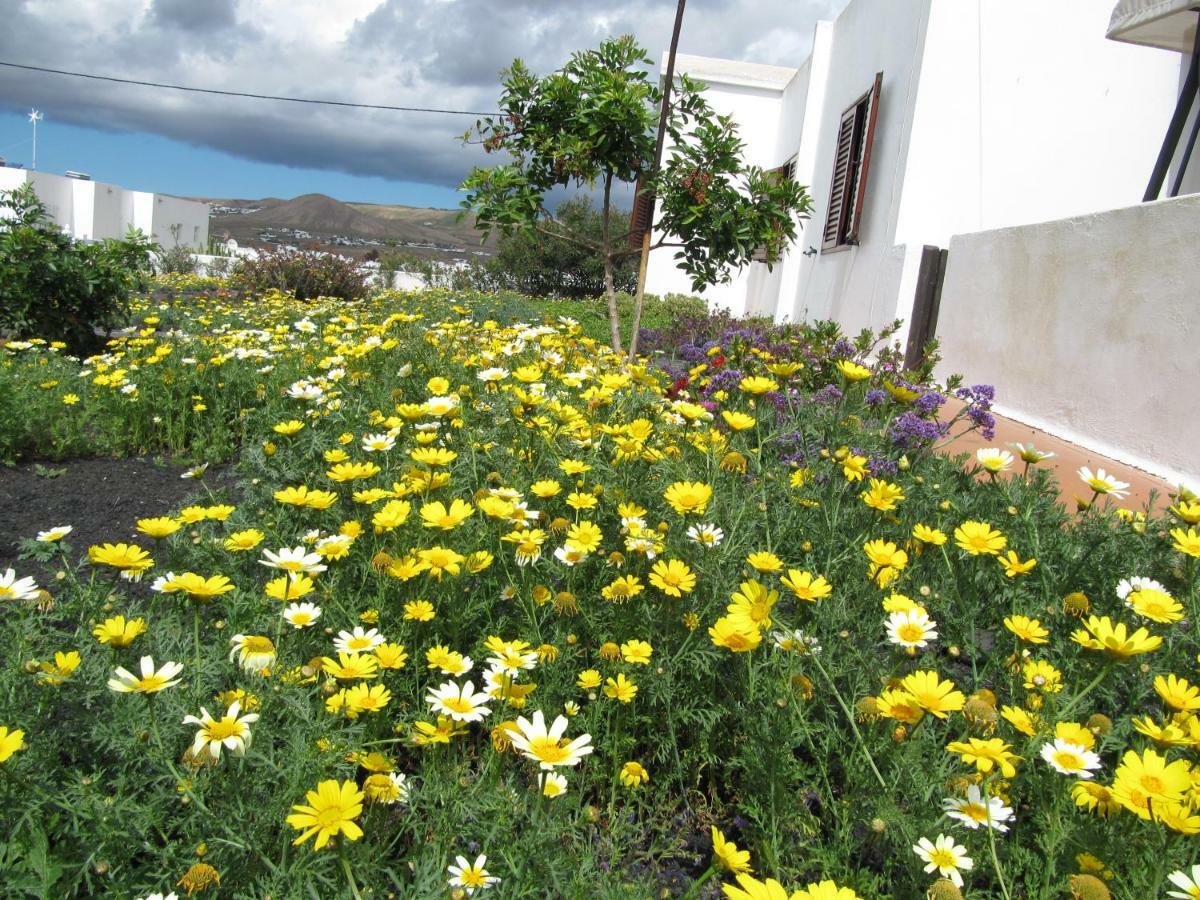 Casa Montana De Tahiche Villa Bagian luar foto